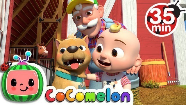 'Bingo (Farm Version) + More Nursery Rhymes & Kids Songs - CoComelon'