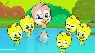 'Five Little Ducks + Bingo Song + Finger Family Songs @littlesingerstv Kids Songs'