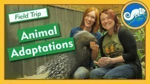 'Adaptations at Animal Wonders - Field Trip'