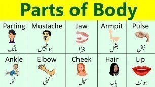 'Parts of Body in English with Urdu Meaning | Body Parts for kids in Urdu'