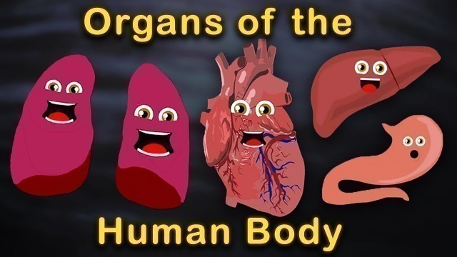 'Organs of the Human Body Songs  | Anatomy Education Songs'