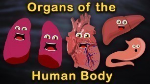 'Organs of the Human Body Songs  | Anatomy Education Songs'