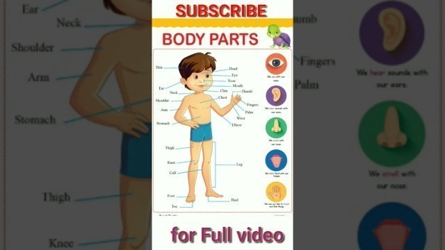 'kids learning videos | Body parts For class 1 kids #bodyparts #class1 #kvsclass1 #learningkids'