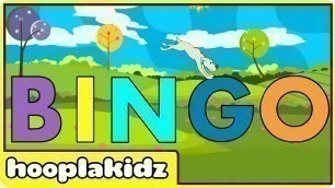 'Bingo Song | Kids Song | HooplaKidz'