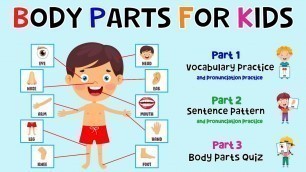 'Body Parts For Kids | Learn Parts Of The Body | Body Part Quiz | ESL Kids | 4K'
