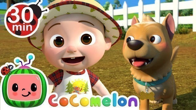 'Bingo at the Farm! | CoComelon Furry Friends | Animals for Kids'