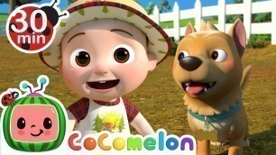 'Bingo at the Farm! | CoComelon Furry Friends | Animals for Kids'