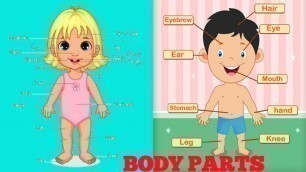 'BODY Parts Name |  | Body Parts | Body Parts Name For Kids in English |'