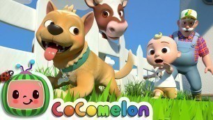 'Bingo (Farm Version) | CoComelon Nursery Rhymes & Kids Songs'