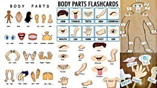 'Preschool learning body parts/ kids learn body parts in classroom #preschool #bodyparts #kidsvideo'