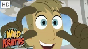 'Wild Kratts - Amazing Animals With Special Features | Kids Videos'