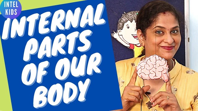 'How To Teach Kindergarten Kids | Internal Body Parts for Kids | Learn Parts of the Body Rhyme'