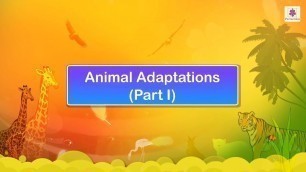 'Animal Adaptations | Science Video For Kids | Periwinkle'