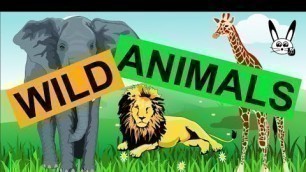 'Wild Animals and Body Parts Vocabulary for Kids.'