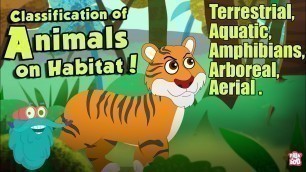 'HABITAT OF ANIMALS | Classification Of Animals On Habitat | The Dr Binocs Show | Peekaboo Kidz'