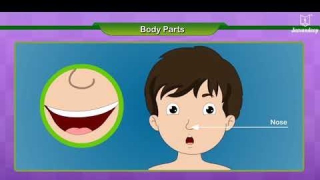 'Learn Body Parts For Kids | EVS | Grade 1 | New Spark | Periwinkle'