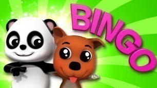 'Bingo Dog Song | Bao Panda Nursery Rhymes For Children by Kids Tv'