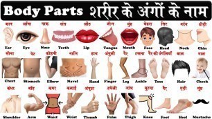 'Body parts in english and hindi with pdf | Parts of the body in hindi | शरीर के अंगों के नाम |'