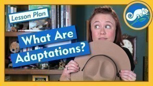 'What Are Adaptations? - Lesson Plan'