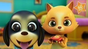 'BINGO the Baby Dog + More Kids Songs & Nursery Rhymes for Children | Music Videos Cartoons'