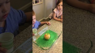 'Apple Volcanoes Kids Activity'