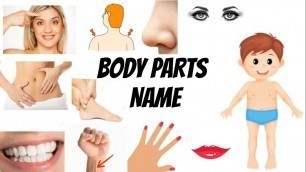 'BODY PARTS NAME | Kids vocabulary| Parts of the body| Learn english for kids| Pre s chool junior'