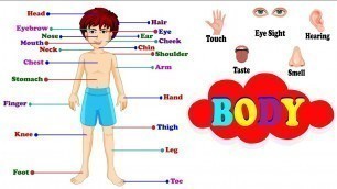 'Body Parts for Kids Learning | Human Body Parts | Kids Vocabulary'
