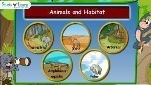'Adaptations in Animals | Habitats | Terrestrial Aquatic | Class 4'