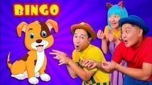 'BINGO - Kids Nursery Rhyme | Tigi Boo Kids Songs'