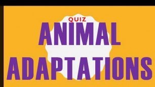 'QUIZ ON ANIMAL ADAPTATIONS | Animal Adaptations | class 4 | ncert | cbse | Science Quiz |'