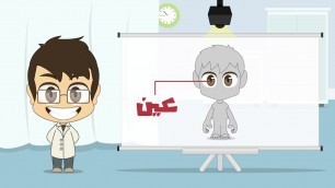 'Human Body Parts in Arabic for Kids   أجزاء جسم الإنسان باللغة العربية للأطفال'