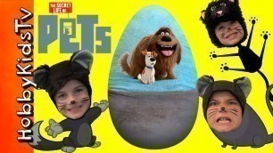 'Giant PETS Surprise Egg with Toys From The Movie by HobbyKidsTV'