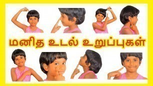 'மனித உடல் உறுப்புகள்| Learn body parts name in Tamil for kids and children - Tamilarasi'