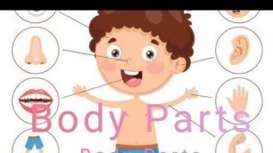 'Body Parts | Body Parts Learning For kids | @KidsZee'