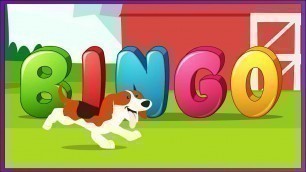 'BINGO Dog Song | Animal Children Songs'