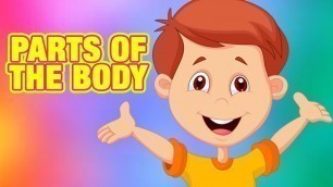'Parts Of the Body Name In English | Learning Body Parts For Kids | Simba Tv | #KidsLearning'