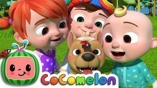 'Where Has My Little Dog Gone? | CoComelon Nursery Rhymes & Kids Songs'
