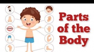 'Body Parts / Parts of the Body/ Body Parts for Kids/ Body Parts Vocabulary/ Our Body/ GRADE 1/ EVS'