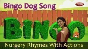 'Bingo Dog Song With Actions | Nursery Rhymes For Children | Pre School Learning Video | Toddlers'