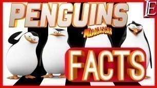 'Penguins of Madagascar Facts | Hindi | Incredible Entertainment'