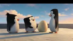 'Save egg by penguins scene in Hindi || Penguins of Madagascar || Hindi Hollywood'