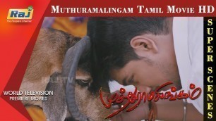 'MuthuRamalingam Movie | Super Scene HD | Gautham Karthik | Priya Anand | Napoleon'