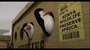 'Best scene of \"Madagascar\" penguin || team work hindi'
