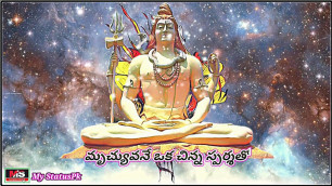 'Sri Manjunatha Devotional Conversation Video Lord Shiva Status | Lord Shiva New WhatsApp Status |'