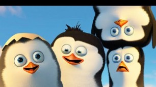 'Funny Scene Of Penguins Of Madagascar In Hindi'