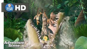 'Madagascar Hindi (10/12) How Dangerous Is Jungle Scene MovieClips'