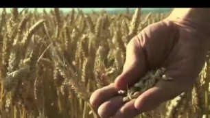 'Food Matters \"Trailer\" (The Natural Health Documentary)'