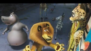 'Madagascar 3 Animation Movie HD | Episode 4 in Hindi [2012] altra prime'