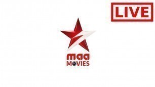 'Star Maa Movies Live | Watch Maa Movies Channel Online'