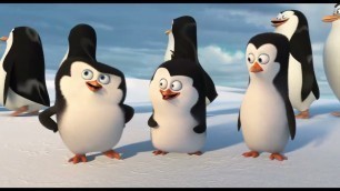 'Cute Cuddly Penguins of Madagascar | Best animation Movie ever | Little Penguins | North pole South'